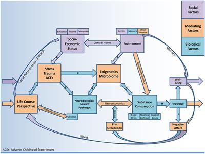 A Biopsychosocial Overview of the Opioid Crisis: Considering Nutrition and Gastrointestinal Health